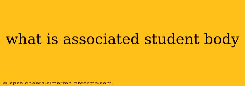 what is associated student body