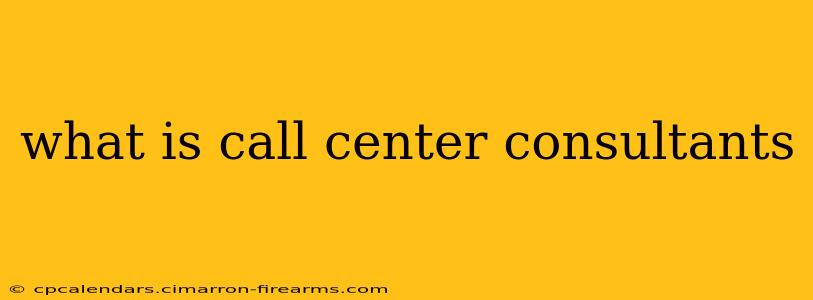 what is call center consultants