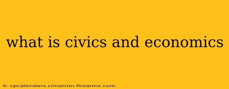 what is civics and economics