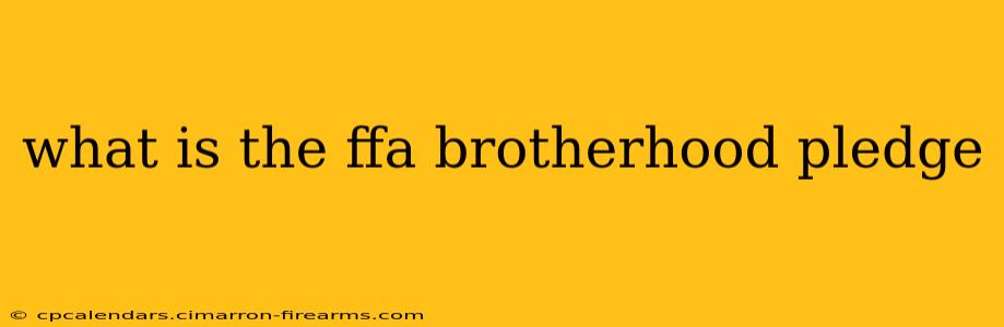 what is the ffa brotherhood pledge