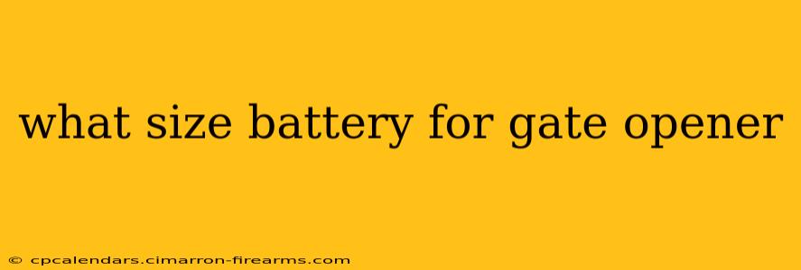 what size battery for gate opener