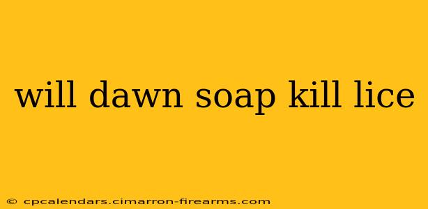 will dawn soap kill lice