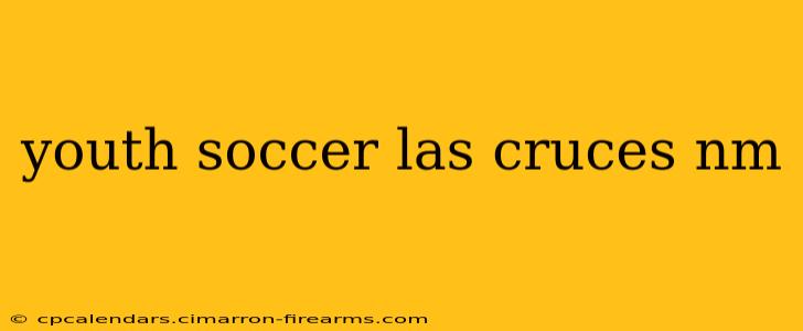 youth soccer las cruces nm